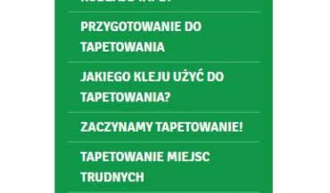 Wszystko o tapetowaniu - Grupa Pronicel