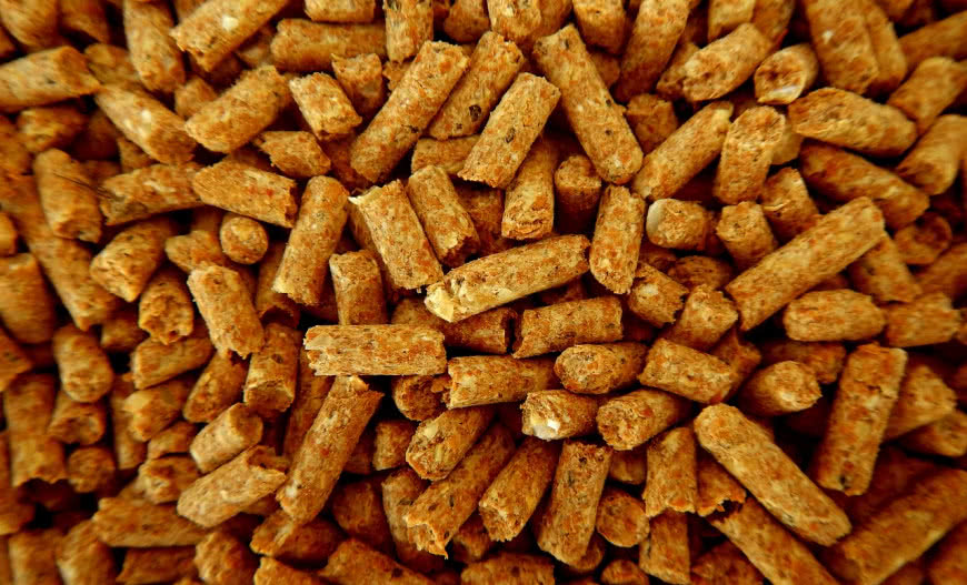 Ile kosztuje pellet? Ceny pelletu w 2023 roku